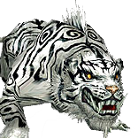 White Tiger